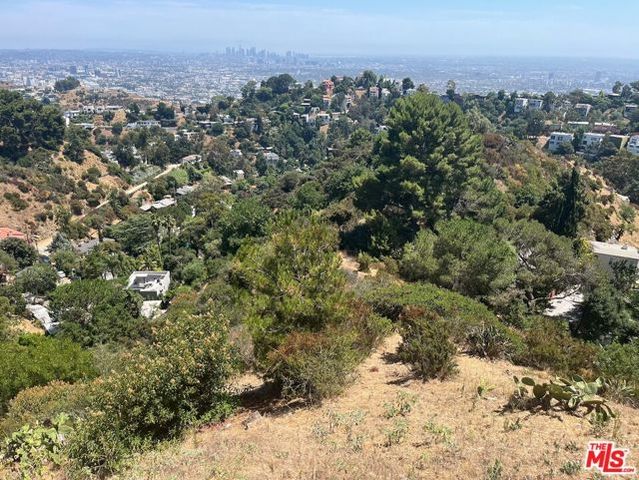 2072 N Lewis Terrace, Los Angeles, CA 90046