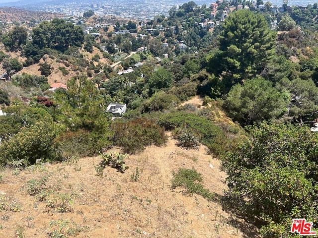 2072 N Lewis Terrace, Los Angeles, CA 90046