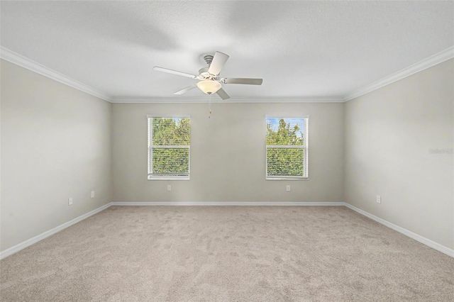1599 CASSIUS STREET, Lutz, FL 33549