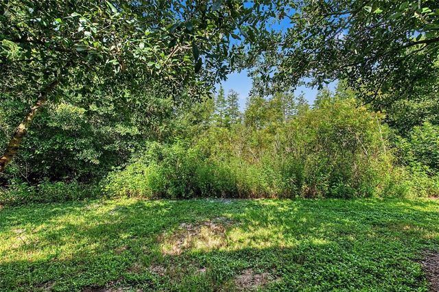 1599 CASSIUS STREET, Lutz, FL 33549