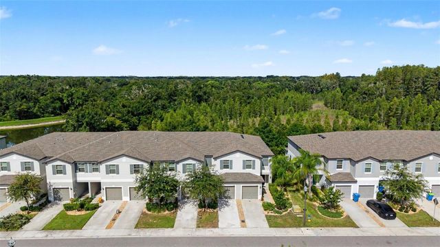 1599 CASSIUS STREET, Lutz, FL 33549