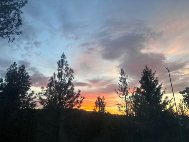 15307 W Autumn Ln, Nine Mile Falls, WA 99026