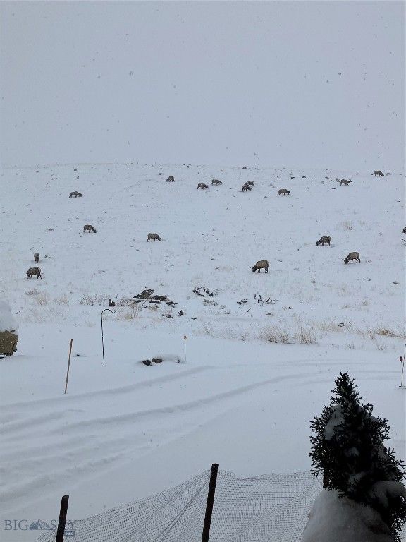 682 E River Road, Pray, MT 59065 photo 5