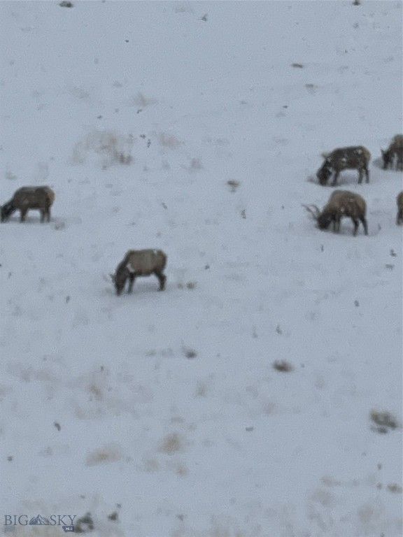 682 E River Road, Pray, MT 59065 photo 84