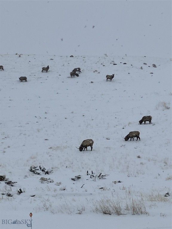 682 E River Road, Pray, MT 59065 photo 85