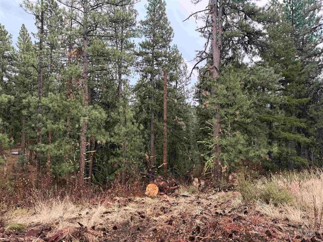 TBD Idaho City- Lot 24, Idaho City, ID 83631 property photo