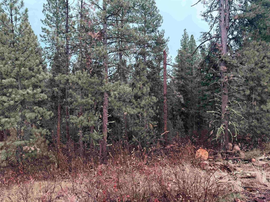 TBD Idaho City- Lot 24, Idaho City, ID 83631 photo 2