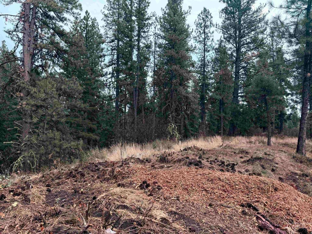 TBD Idaho City- Lot 24, Idaho City, ID 83631 photo 3