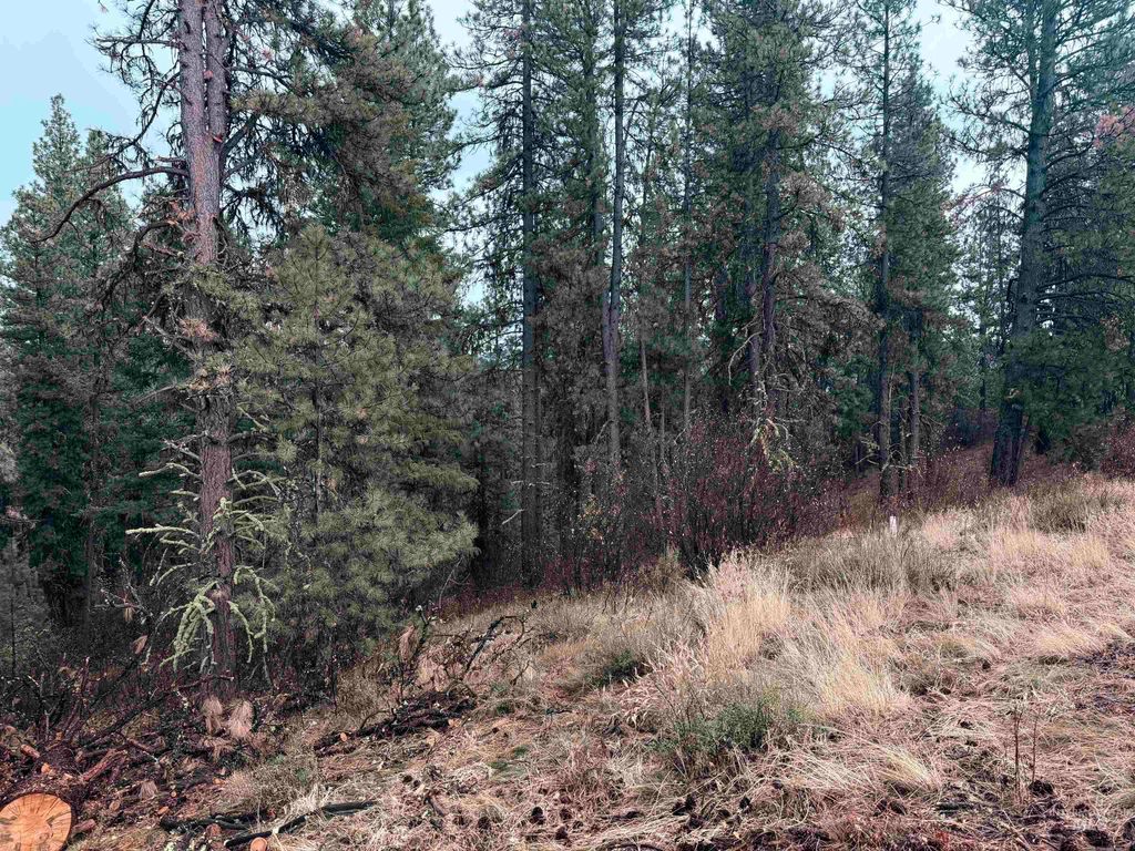 TBD Idaho City- Lot 24, Idaho City, ID 83631 photo 4