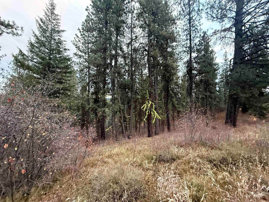 TBD Idaho City- Lot 24, Idaho City, ID 83631 photo 5