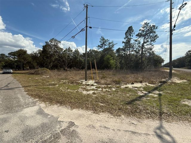 11745 ORANGE ROAD, Ocklawaha, FL 32179