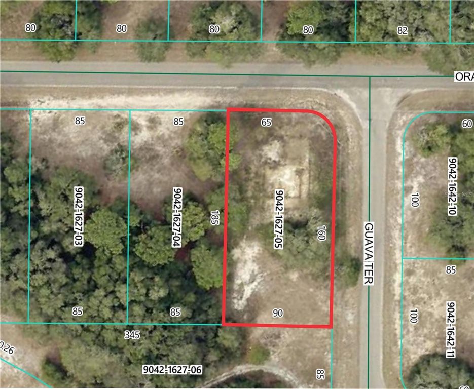 11745 ORANGE ROAD, Ocklawaha, FL 32179