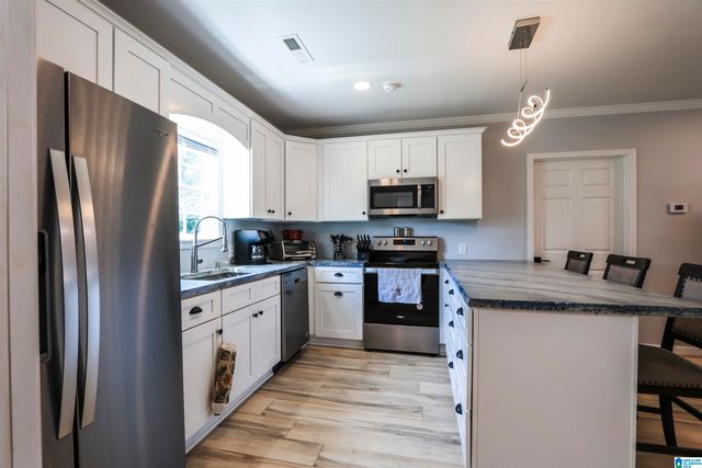 132 SKYLINE TRAIL, Pell City, AL 35128