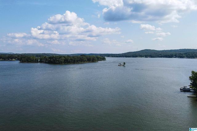132 SKYLINE TRAIL, Pell City, AL 35128