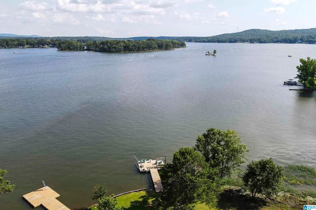 132 SKYLINE TRAIL, Pell City, AL 35128