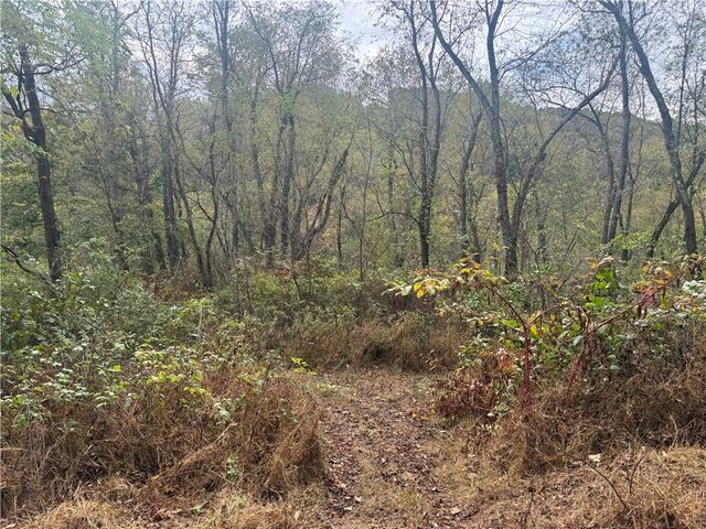 123 Baylee Ln, South Bend Twp, PA 15618