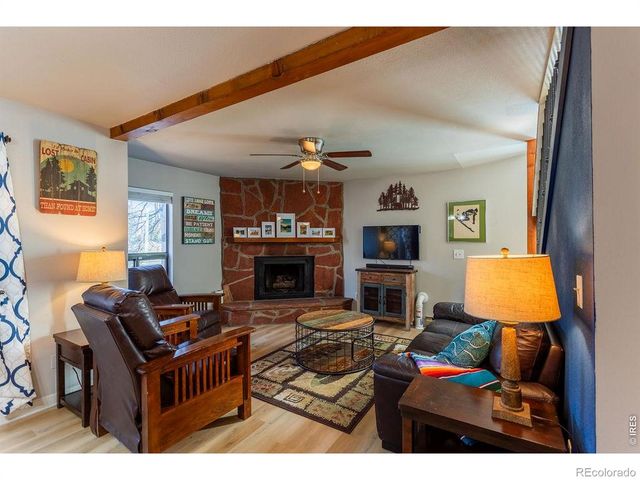 1050 S Saint Vrain Avenue 3, Estes Park, CO 80517