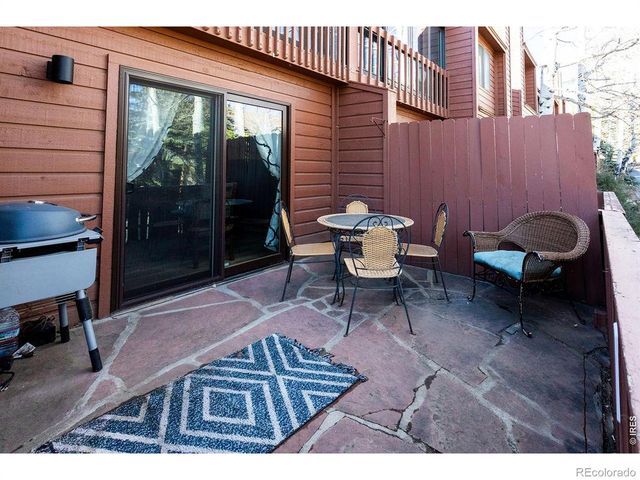 1050 S Saint Vrain Avenue 3, Estes Park, CO 80517
