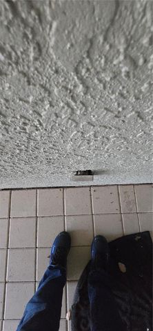 1810 GREYSTONE HEIGHTS DRIVE, Valrico, FL 33594