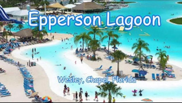 31699 SUN KETTLE LOOP, Wesley Chapel, FL 33545