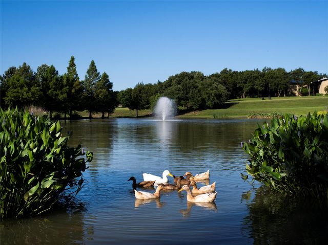 139 Merion DR, Austin, TX 78737