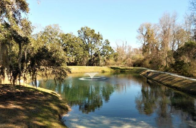 2216 Chatelain Way, Mount Pleasant, SC 29464