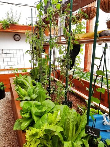 12575 Anakate Lane, Nampa, ID 83686