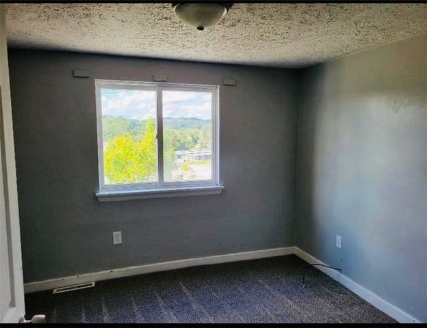 169 Union St, Bridgeville, PA 15017