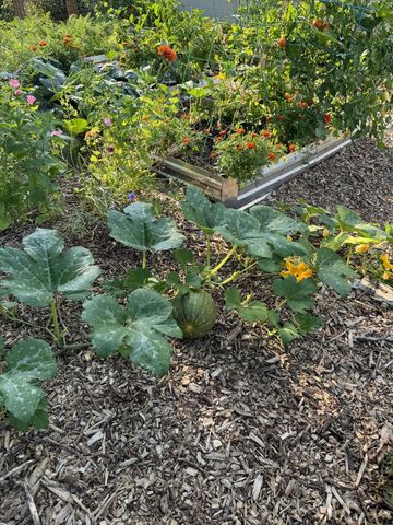 8433 Morris Circle, Bloomington, MN 55437