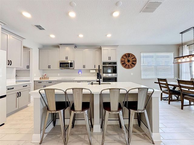 33163 SYCAMORE LEAF DRIVE, Wesley Chapel, FL 33545