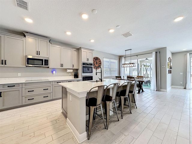 33163 SYCAMORE LEAF DRIVE, Wesley Chapel, FL 33545