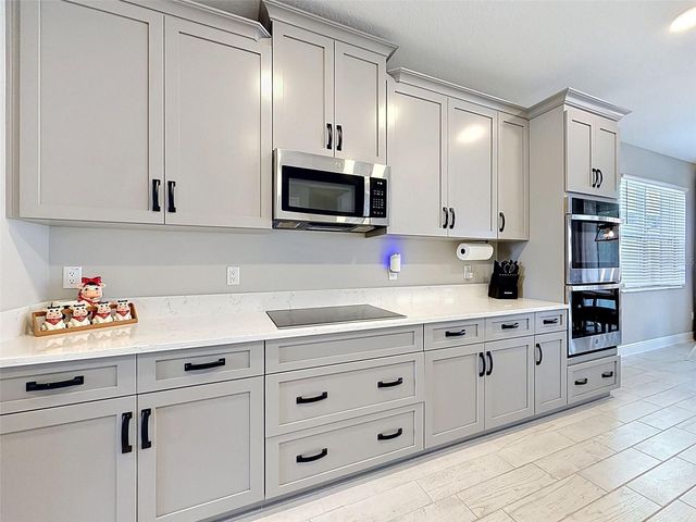 33163 SYCAMORE LEAF DRIVE, Wesley Chapel, FL 33545