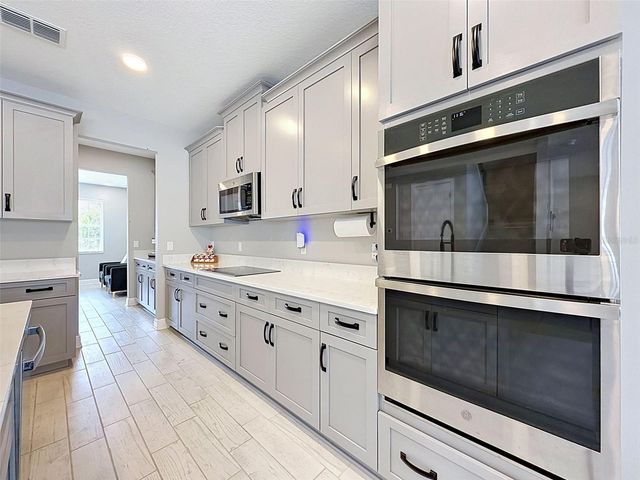 33163 SYCAMORE LEAF DRIVE, Wesley Chapel, FL 33545