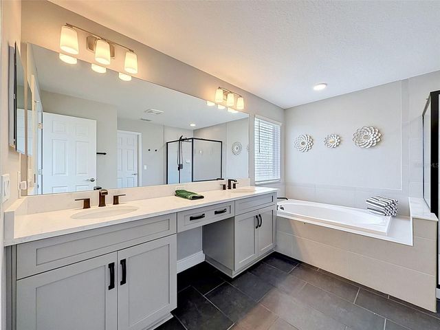 33163 SYCAMORE LEAF DRIVE, Wesley Chapel, FL 33545