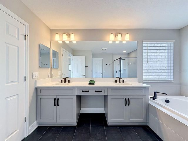 33163 SYCAMORE LEAF DRIVE, Wesley Chapel, FL 33545