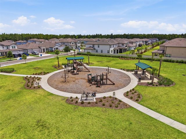 33163 SYCAMORE LEAF DRIVE, Wesley Chapel, FL 33545