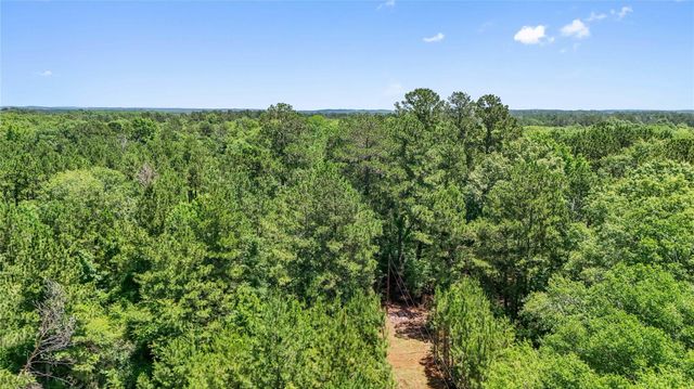 TBD Hickman Rd, Burkeville, TX 75932