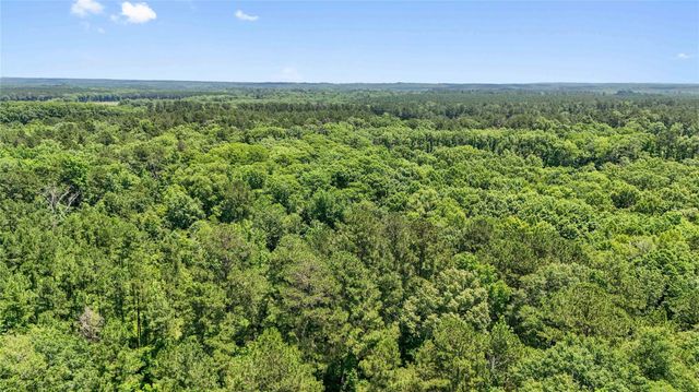 TBD Hickman Rd, Burkeville, TX 75932