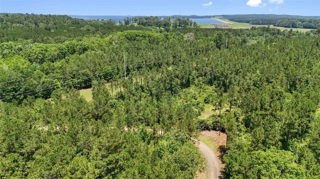 TBD Hickman Rd, Burkeville, TX 75932