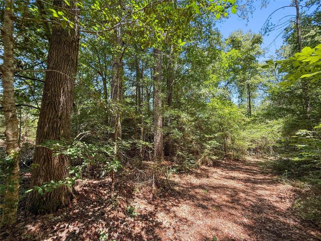 TBD Hickman Rd, Burkeville, TX 75932