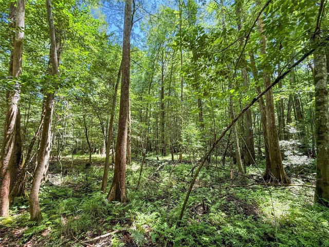 TBD Hickman Rd, Burkeville, TX 75932