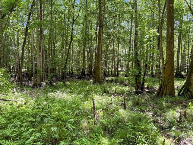 TBD Hickman Rd, Burkeville, TX 75932