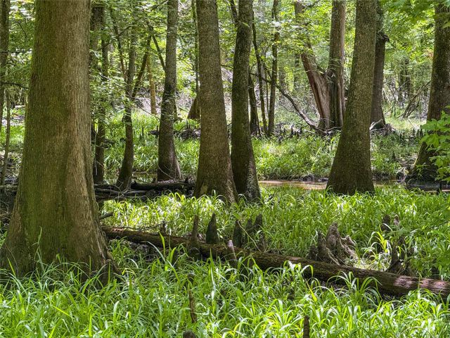 TBD Hickman Rd, Burkeville, TX 75932