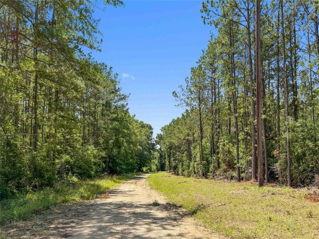 TBD Hickman Rd, Burkeville, TX 75932
