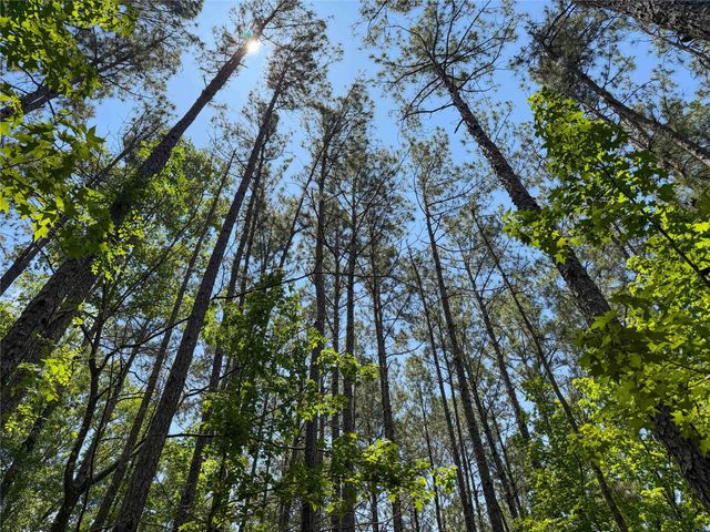 TBD Hickman Rd, Burkeville, TX 75932