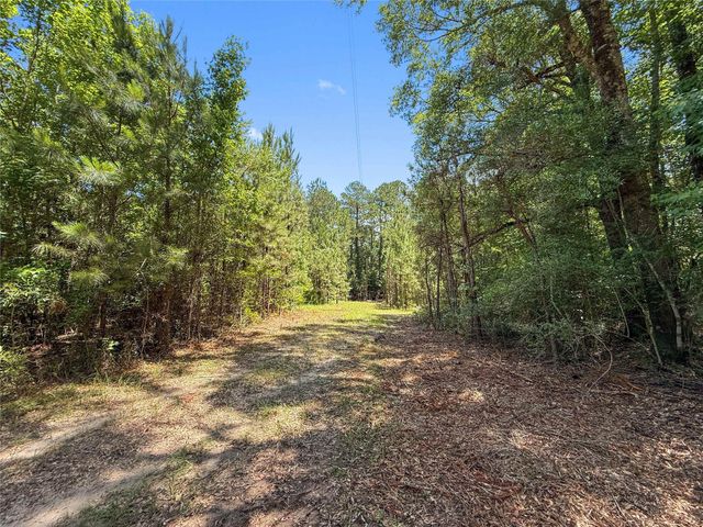 TBD Hickman Rd, Burkeville, TX 75932