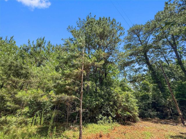 TBD Hickman Rd, Burkeville, TX 75932