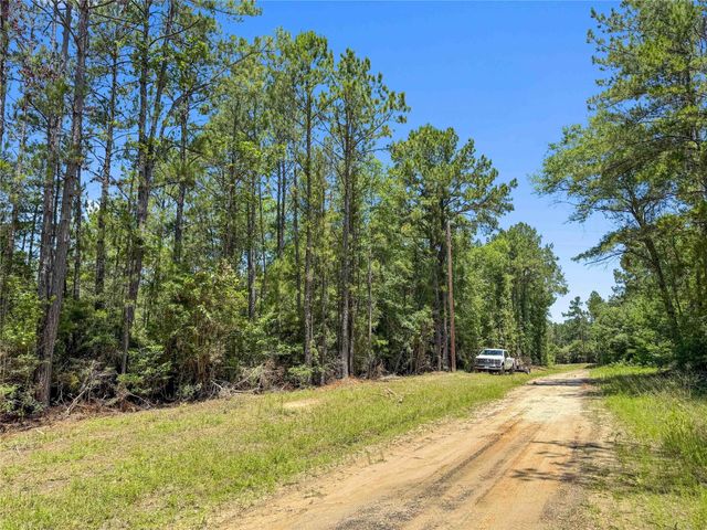 TBD Hickman Rd, Burkeville, TX 75932