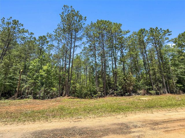 TBD Hickman Rd, Burkeville, TX 75932