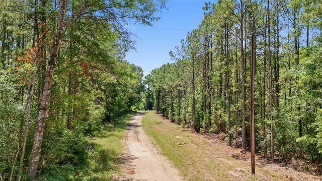 TBD Hickman Rd, Burkeville, TX 75932